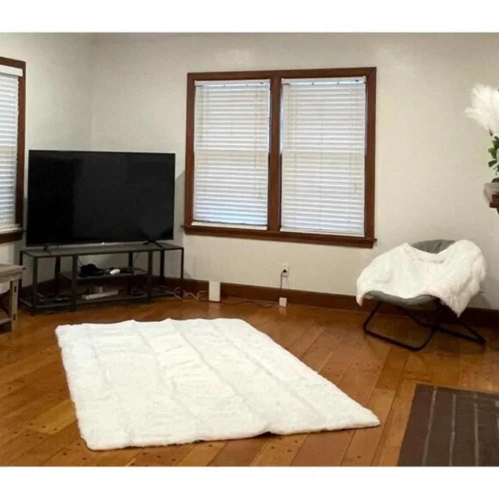 New 5x7 White Shag Area Rug, Ultra Soft Fluffy Non-Skid Plush Carpet for Home
